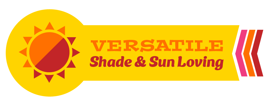 Versatile Shade & Sun Loving